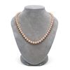 Image 2 : Pink Freshwater Pearl Necklace, 7.5-8.0mm