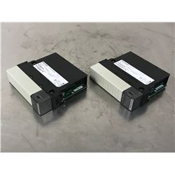 (2) ALLEN BRADLEY 1756-M08SE MOTION MODULE