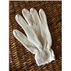 Image 1 : MENS ROPING GLOVE/6X