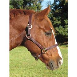 Havannah full halter/Vegetable tanned leather expertly prepared for strength and suppleness/5-way ad