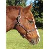 Image 1 : Havannah full halter/Vegetable tanned leather expertly prepared for strength and suppleness/5-way ad