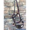 Image 1 : BRONC HALTER/Vegetable tanned leather expertly prepared for strength and suppleness/HAIR ON HIDE NOS