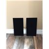 Image 1 : TWO FLAT BLACK VELVET JEWELERY  DISPLAYS/ 7.5" X14"