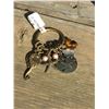 Image 1 : LENNY AND EVA BRASS MOJO CHARM / FITS ON CUFFS, OR CHAIN BRACELET OR NECKLACEBEACH COMBER THEME; STA