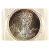 Image 1 : 2013 AMERICAN SILVER EAGLE PCGS MS67 TONED RIM
