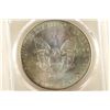 Image 2 : 2013 AMERICAN SILVER EAGLE PCGS MS67 TONED RIM