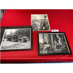 Lot of 3 vintage logging photographs