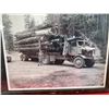 Image 3 : Lot of 3 vintage logging photographs