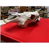 Image 1 : Vintage horse skull well aged