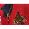 Image 2 : Two Pieces of Scottish Feather Jewelry