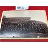 Image 2 : Norweigan Military Photo early 1900's Norvik 9" wide 5 1/2" tall