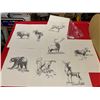 Image 1 : Lot of 8 Animal Prints 9" x 12"