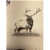 Image 2 : Lot of 8 Animal Prints 9" x 12"