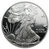 Image 2 : 2000-P Proof Silver American Eagle PF-69 NGC