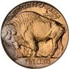 Image 2 : 1913 Buffalo Nickel. Type 1 PCGS MS67