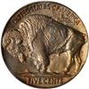 Image 2 : 1914 Buffalo 5C PCGS Proof 63