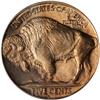 Image 2 : 1914-D Buffalo 5C PCGS MS66