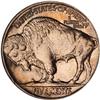 Image 2 : 1915-D Buffalo 5C PCGS MS65