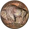 Image 2 : 1916 Buffalo Nickel. PCGS MS65