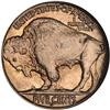 Image 2 : 1916-D Buffalo 5C NGC MS66