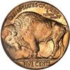 Image 2 : 1917 Buffalo Nickel. PCGS MS65