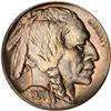 Image 1 : 1920 Buffalo Nickel. PCGS MS65