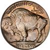 Image 2 : 1920 Buffalo Nickel. PCGS MS65