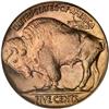 Image 2 : 1924 Buffalo Nickel. PCGS MS65