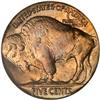 Image 2 : 1934 Buffalo Nickel. PCGS MS65