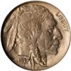 Image 1 : 1937-D Buffalo 5C. 3 Legs NGC MS61
