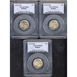 Lot of Three Buffalo Nickels