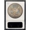 Image 2 : 1881-CC Morgan $1 ANACS MS64