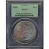 Image 3 : 1884 Toned Morgan $1 PCGS MS64
