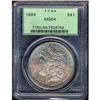 Image 1 : 1884 Toned Morgan $1 PCGS MS64