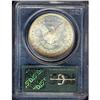 Image 2 : 1884 Toned Morgan $1 PCGS MS64