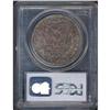 Image 2 : 1884-S Morgan $1 PCGS AU50