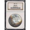 Image 3 : 1885 Toned Morgan $1 NGC MS65*
