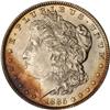 Image 1 : 1885 Toned Morgan $1 NGC MS65*