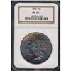 Image 3 : 1885 Toned Morgan $1 NGC MS65*