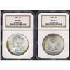 Image 3 : Lot of Two Toned Morgan Dollars NGC MS64*