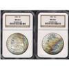 Image 3 : Lot of Two Toned Morgan Dollars NGC MS64*