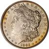 Image 1 : 1885 Toned Morgan $1 NGC MS64*