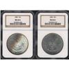 Image 1 : Lot of Two Toned Morgan Dollars NGC MS64*
