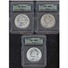 Image 1 : Lot of Three 1901-O Morgan Dollars all ICG MS65