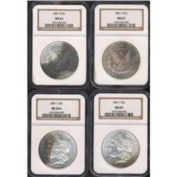 Lot of Four Toned Morgan Dollars