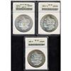 Image 3 : Lot of Three Morgan Dollars