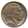 Image 2 : 1913-S Buffalo Nickel Type-II MS-64 PCGS