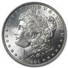 Image 2 : 1884 Morgan Dollar MS-64 PCGS