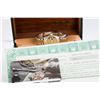 Image 1 : Pre-Owned Rolex Lady Datejust 69173