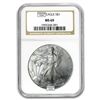 Image 1 : 1986-Current Silver Eagle MS-69 NGC/PCGS (Random Year, Spotted)